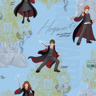 Harry Potter Warner Bros Fabric HPMAGIC.380.140